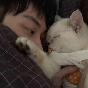 迷失幻境（0.8x）