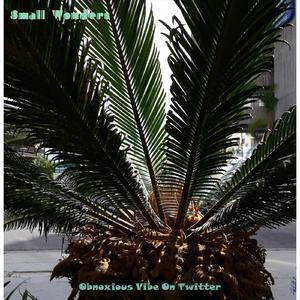 Stories Of The Century