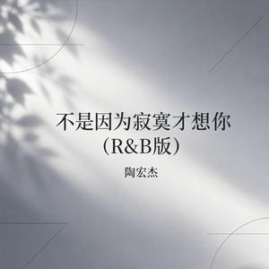 不是因为寂寞才想你（R&B版）