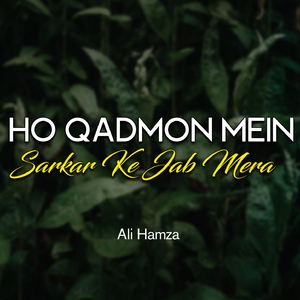 Ho Qadmon Mein Sarkar Ke Jab Mera