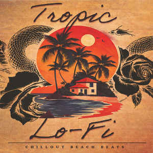 Mushrooms Picturesque