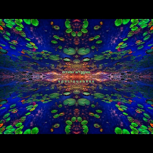 Participatory Evolution