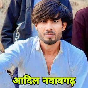 आदिल नवाबगढ़