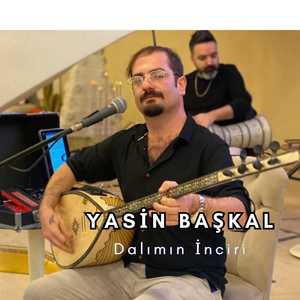 Dalımın İnciri