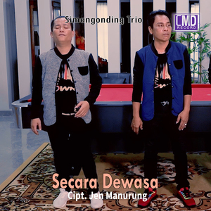 Secara Dewasa