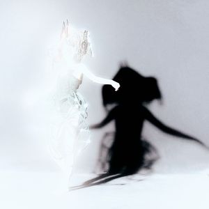 Signals and the Politics of the Body 信号及身体政治