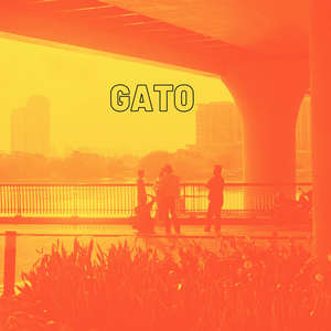 Gato