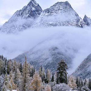 阿奶(Prod. by KAYDEE PRO)