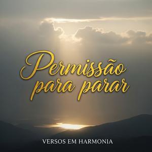 Permissão para Parar
