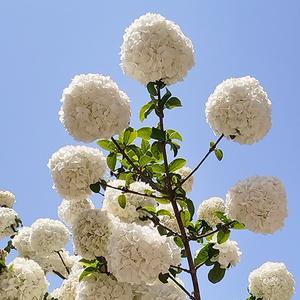 一杯敬过往一杯敬自己