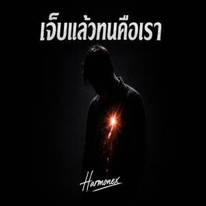 เจ็บแล้วทนคือเรา