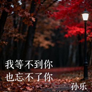 我等不到你 也忘不了你