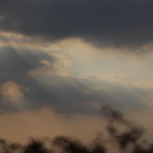 爱人错过（男）