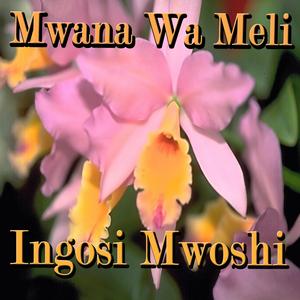 Walekha Ifisi Musukulu