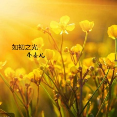 如初之光
