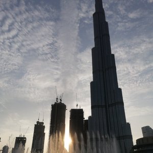 《鼠辈你快跪下》