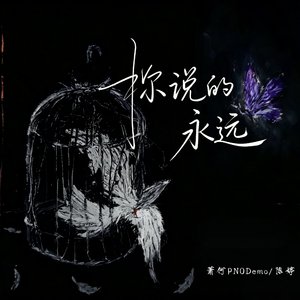 你说的永远