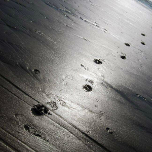 林宥嘉 - 不了解的痕迹