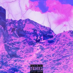 Camellia 山茶（prod by tired）