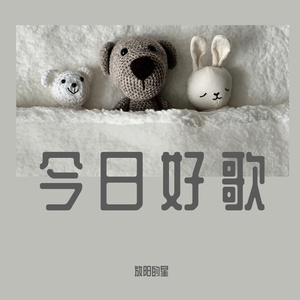 山茶花读不懂白玫瑰