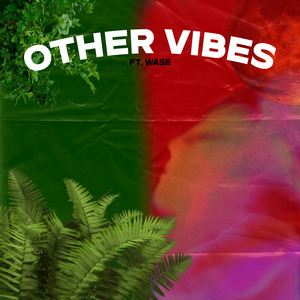 Other Vibes