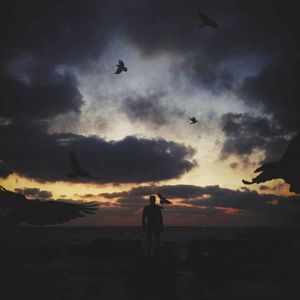 打打杀杀不太适合你