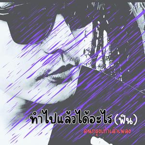 ทำไปแล้วได้อะไร(ฟิน)