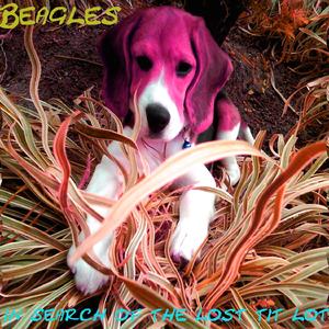 You say yes I say no you say stop and I say go go go