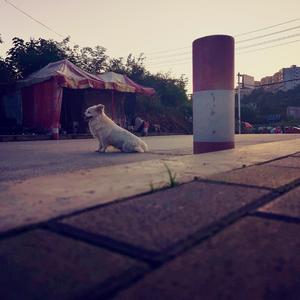 【FREE BEAT】打不通的电话别让客服说对不起