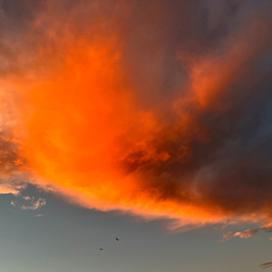 刺槐少女-伴奏版