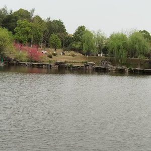 戏说众生为啥苦