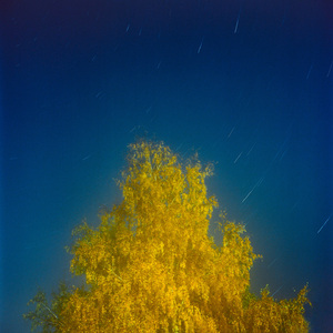 обитатели палат