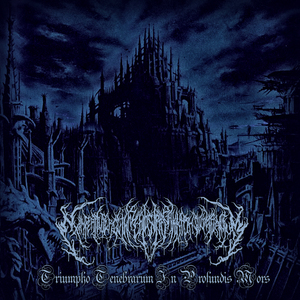 Crossing the Shining and the Gloom of Nine Worlds of Desolation… (Instrumental)