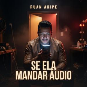 Se Ela Mandar Áudio