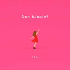 Sen Kimsin?
