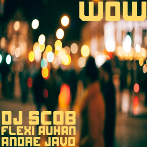Wow (feat. Flexi Aukan & Andre Javo)