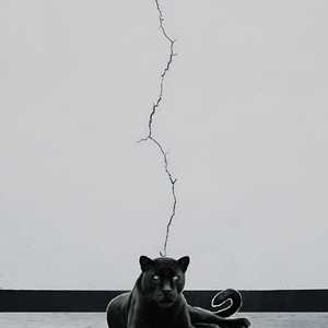 Abrakadabra (Tarok Remix)