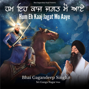 Hum Eh Kaaj Jagat Mo Aaye