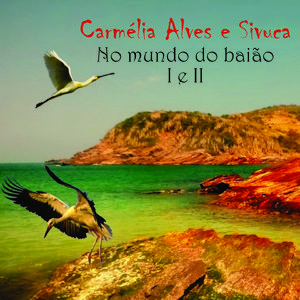 No mundo do baião (I)