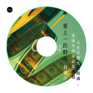 爱上一匹野马 (伴奏)