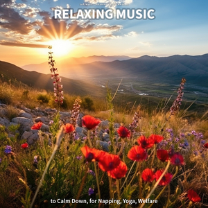 Relaxing Music for Cats