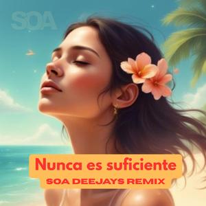 Nunca es suficiente