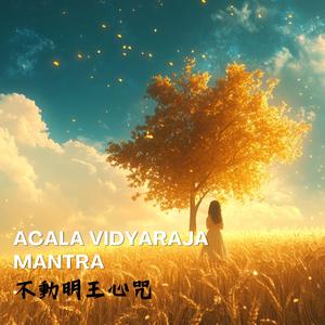 快速安定心靈【不動明王心咒】強大淨化磁場 去除負能量Acala Vidyaraja Mantra