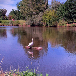 Something in the Air (feat. Patrick O'neill)