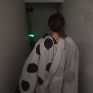 park bird-特别想你（舰长 remix）