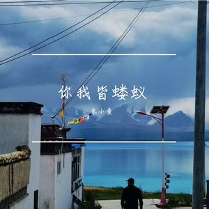 你我皆蝼蚁