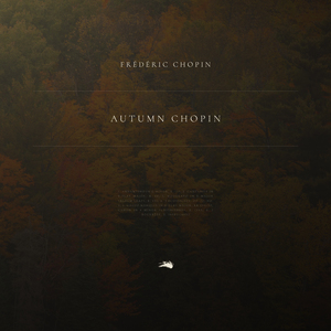 Andantino in G Minor, B. 117