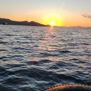 船头的轮胎-鲫鱼哥