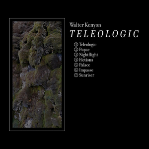 Teleologic