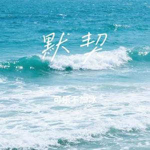 不怕遗憾 (Cover 独琴者)